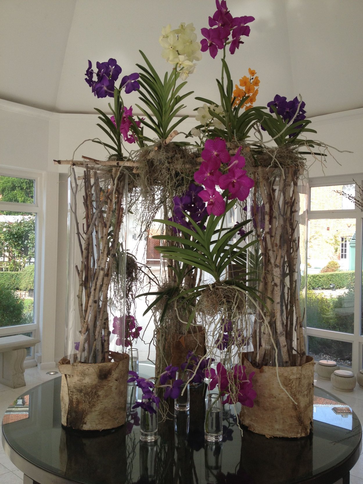 Эпифитный фаленопсис в горшке