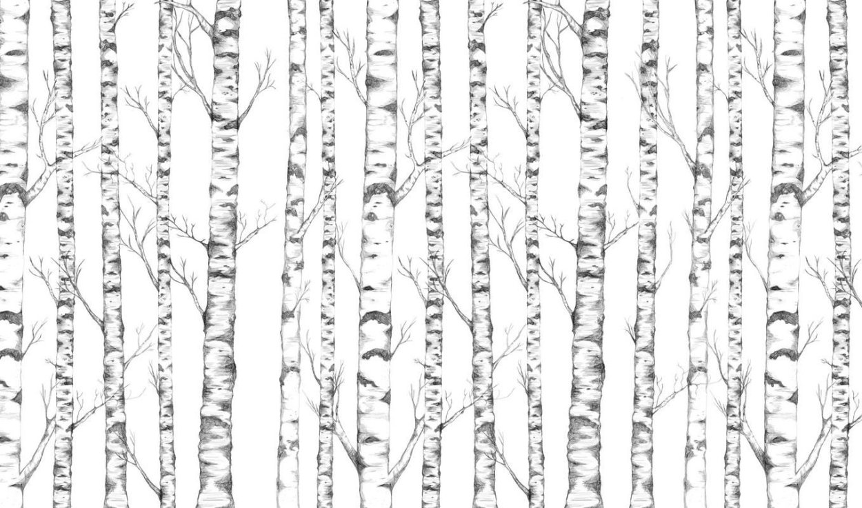 Мелколиственные леса России