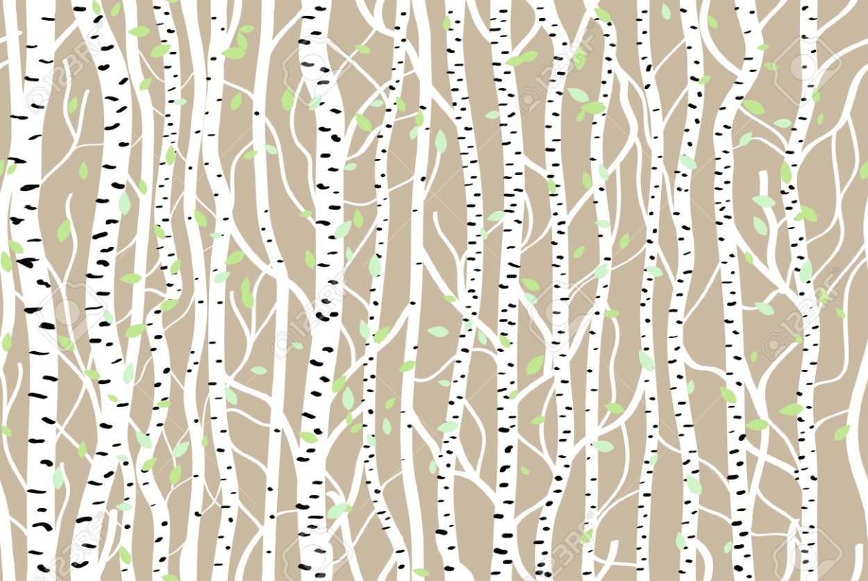 Серебристая береза текстура