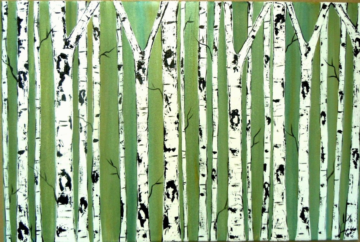 Birch Bark Birch Bark texture