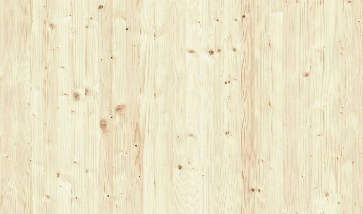 Фактура березы