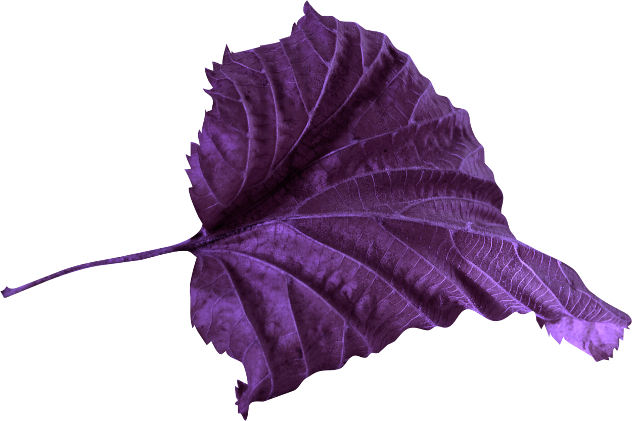 Брошь из фетра кленовый лист