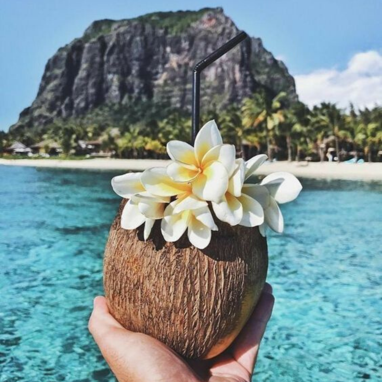 Белые цветы Тайланда длинные