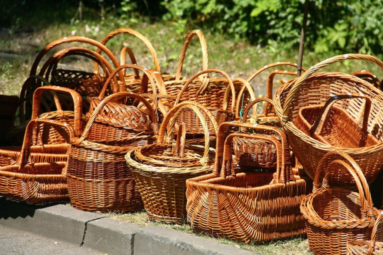 Ива лоза дерево