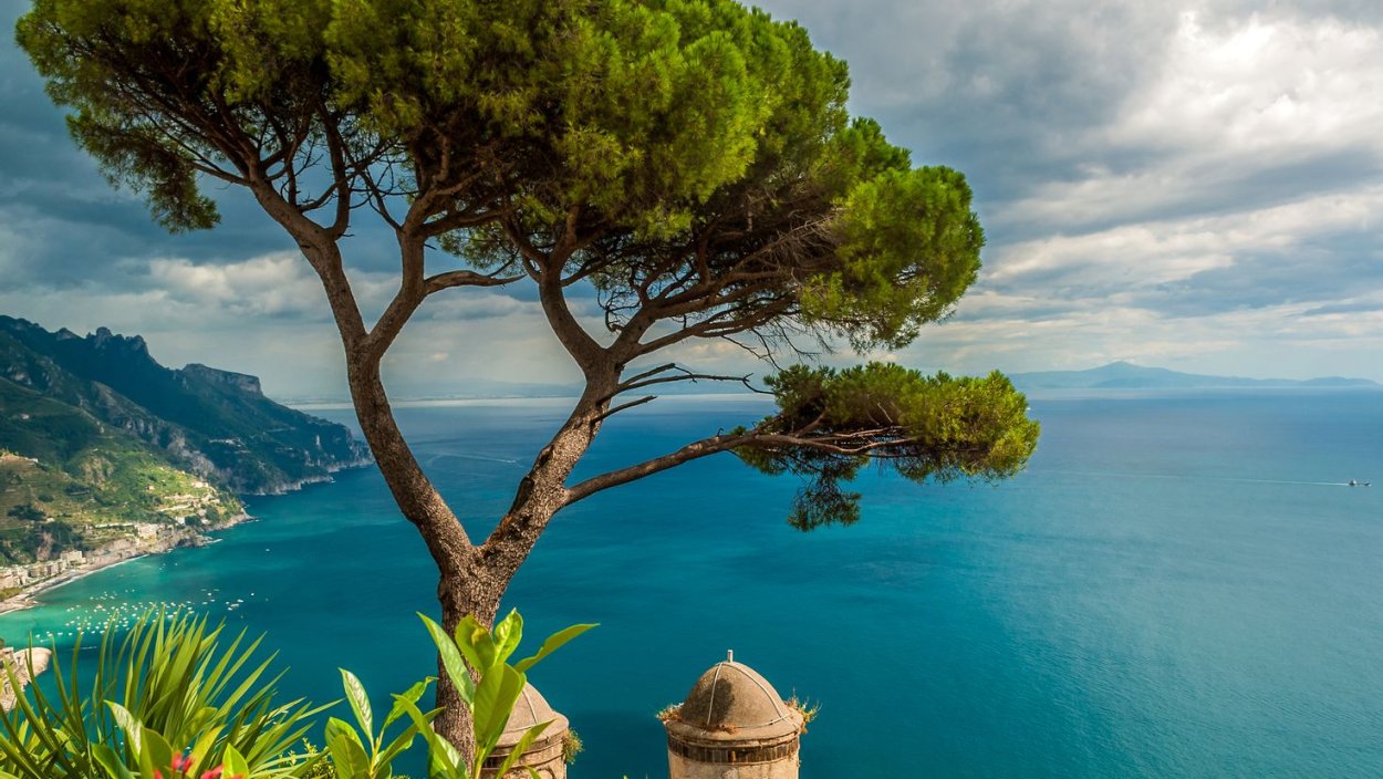 Тополя в Италии Тоскана