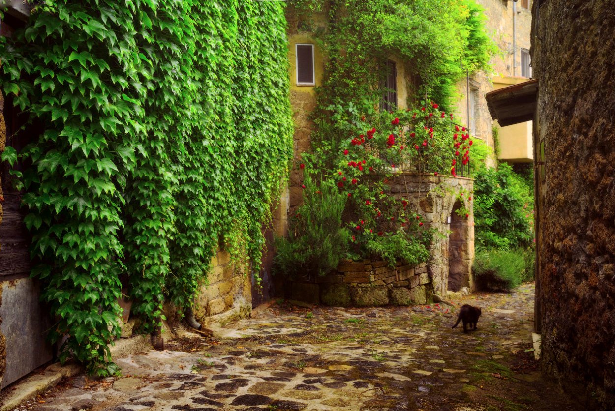 Da Paolino Lemon Trees ресторан