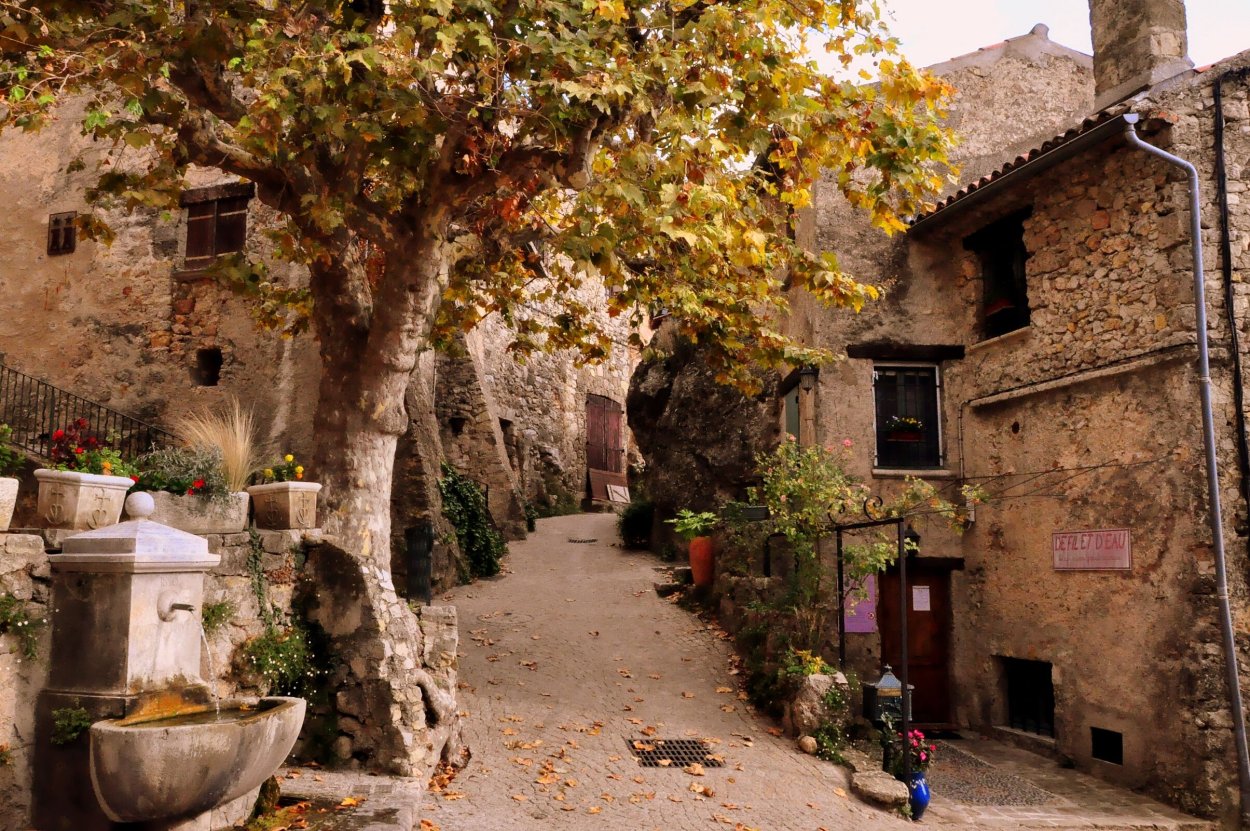 Болгери Тоскана виноградники