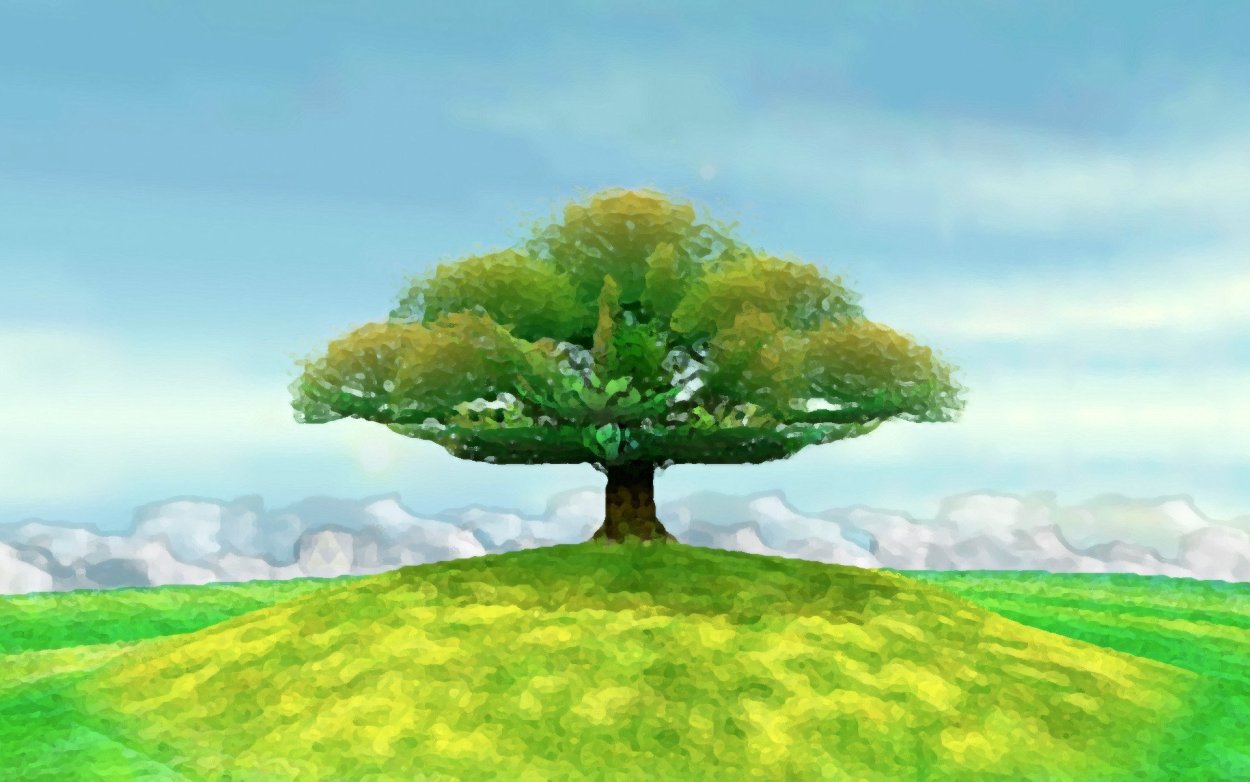 Красивое одинокое дерево