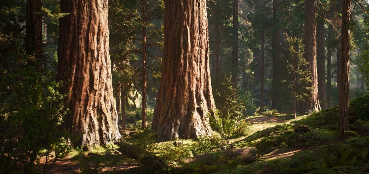 Национальный парк Секвойя Калифорния