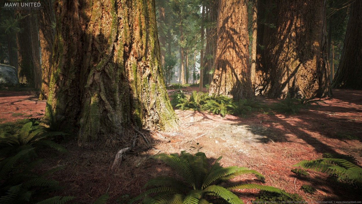 Topic:Forests,Tree and Wood