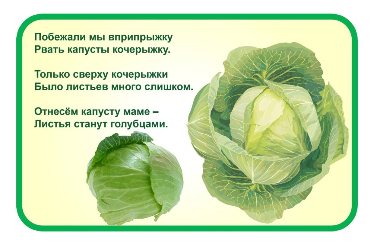 Детские стишки про капусту