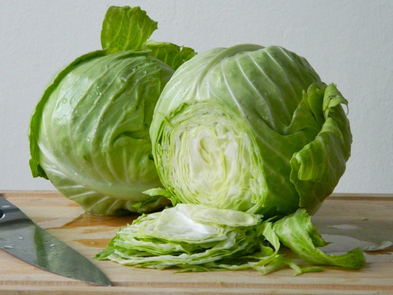 Капуста Эстетика