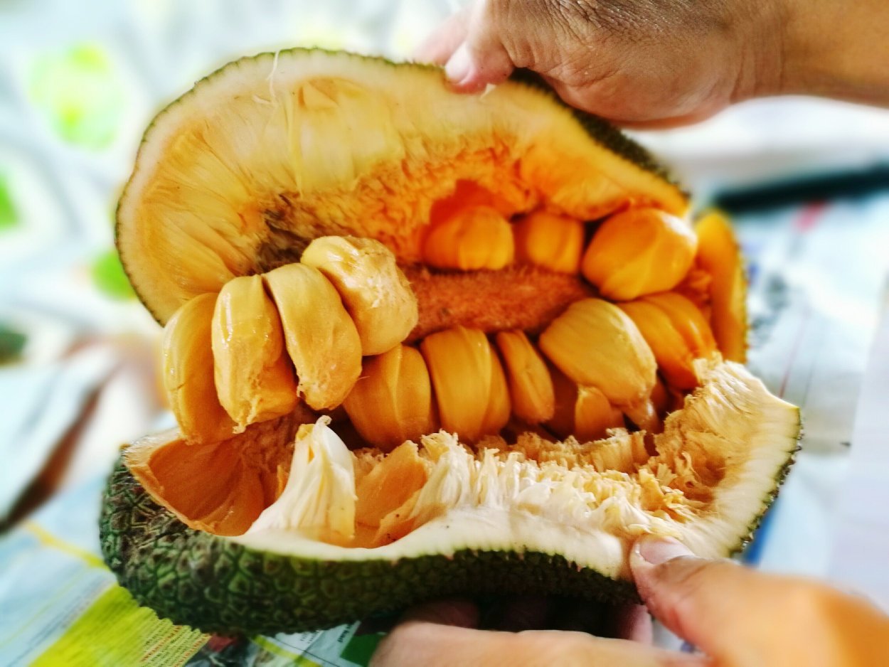 Jackfruit внутри
