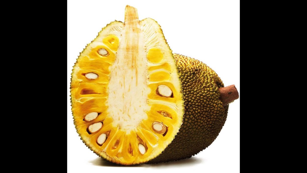 Джекфрут в разрезе