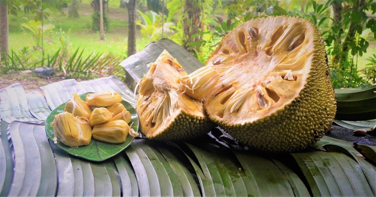 Тайские фрукты джекфрут