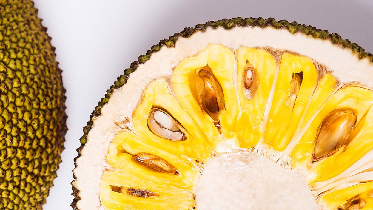 Джекфрут растение