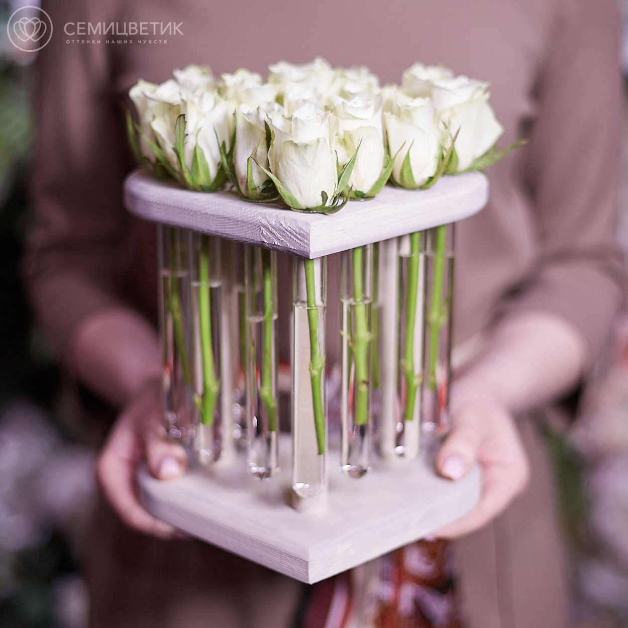 Композиции в пробирках