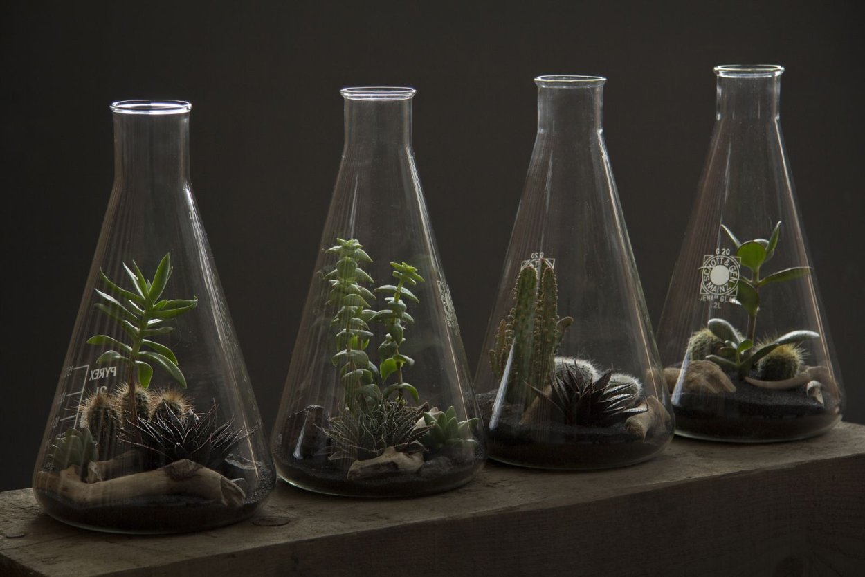 Колбы для цветов