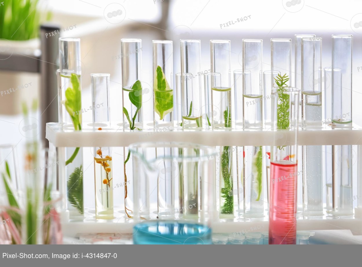 Трава в пробирках