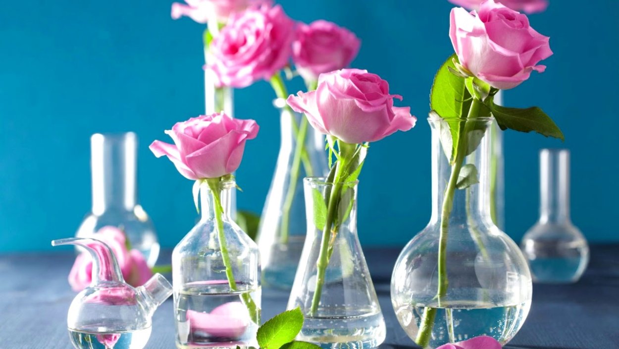 Цветок в химической колбе