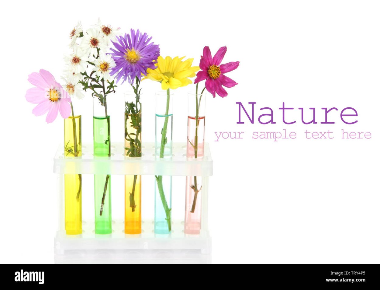 Цветы в пробирках