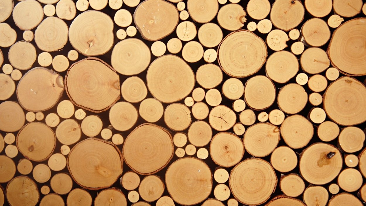 Текстура бревна