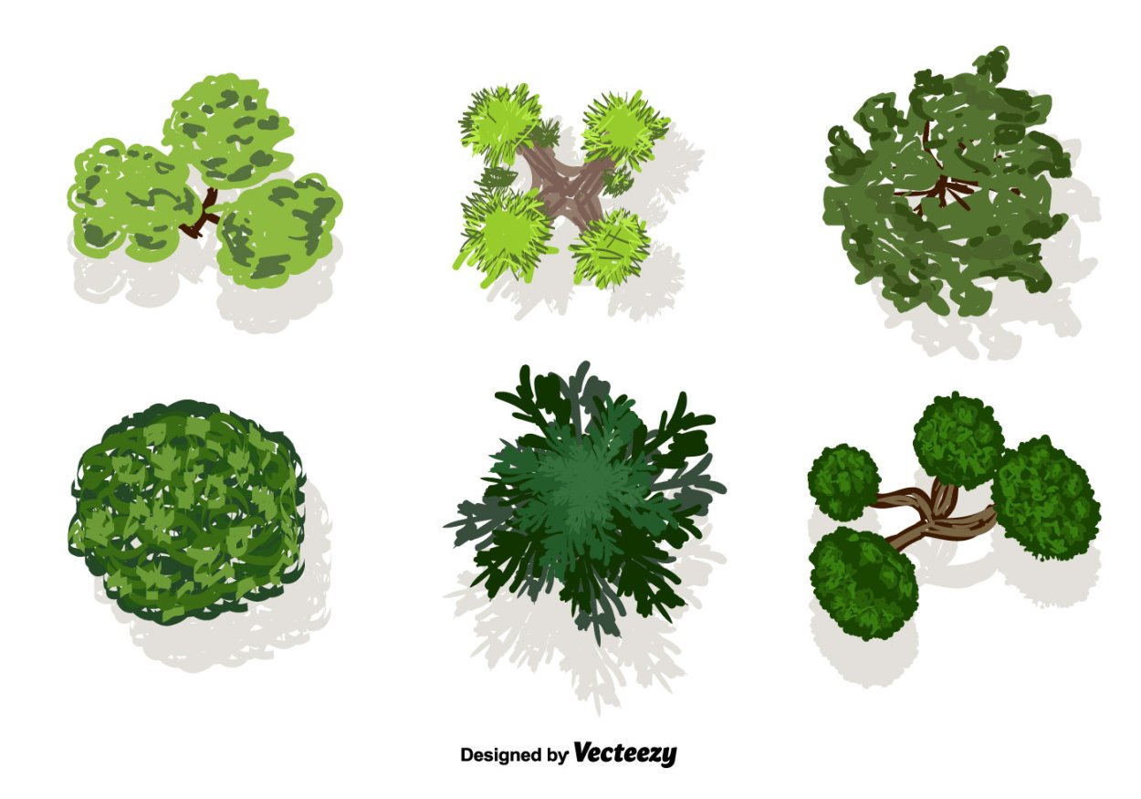 Деревья для фотошопа вид сверху PNG