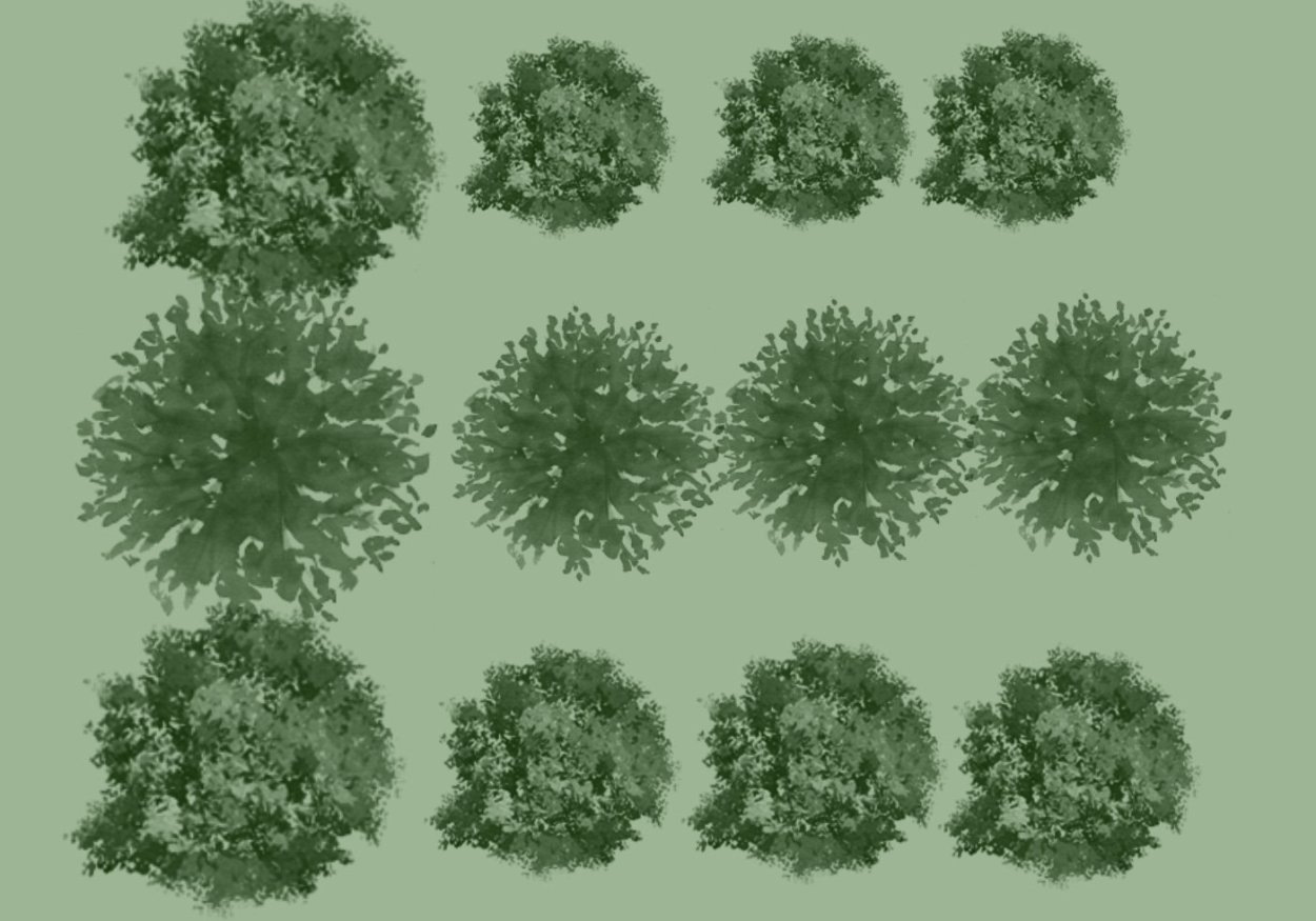 Стаффаж антураж деревья сверху