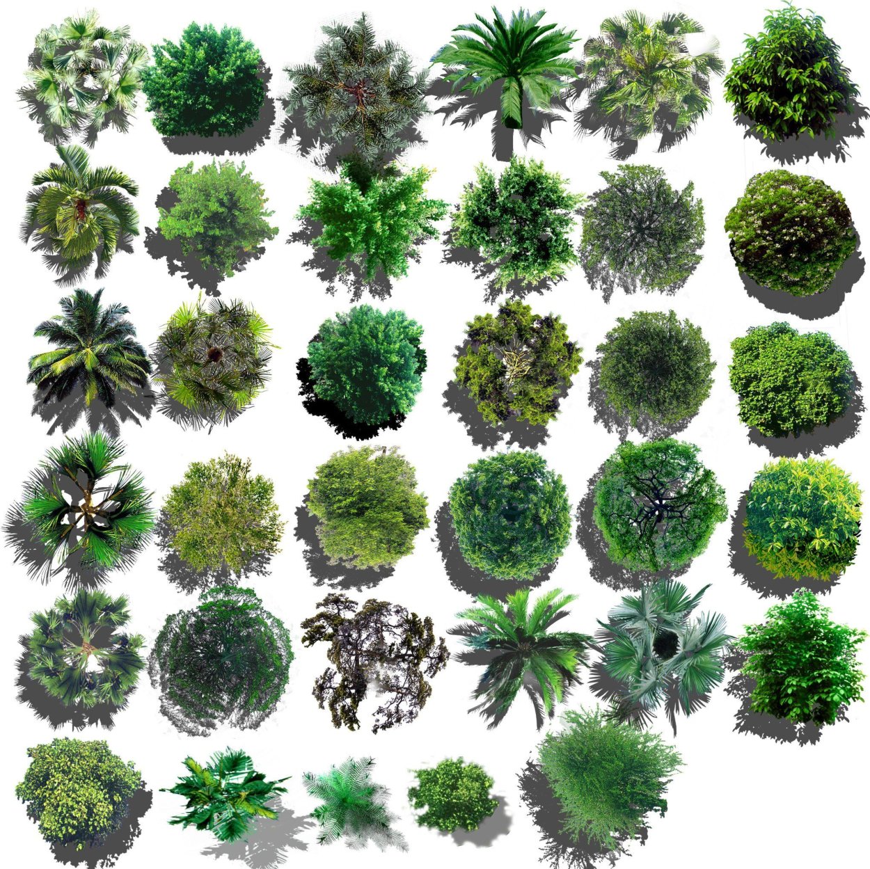 Стаффаж антураж деревья вид сверху