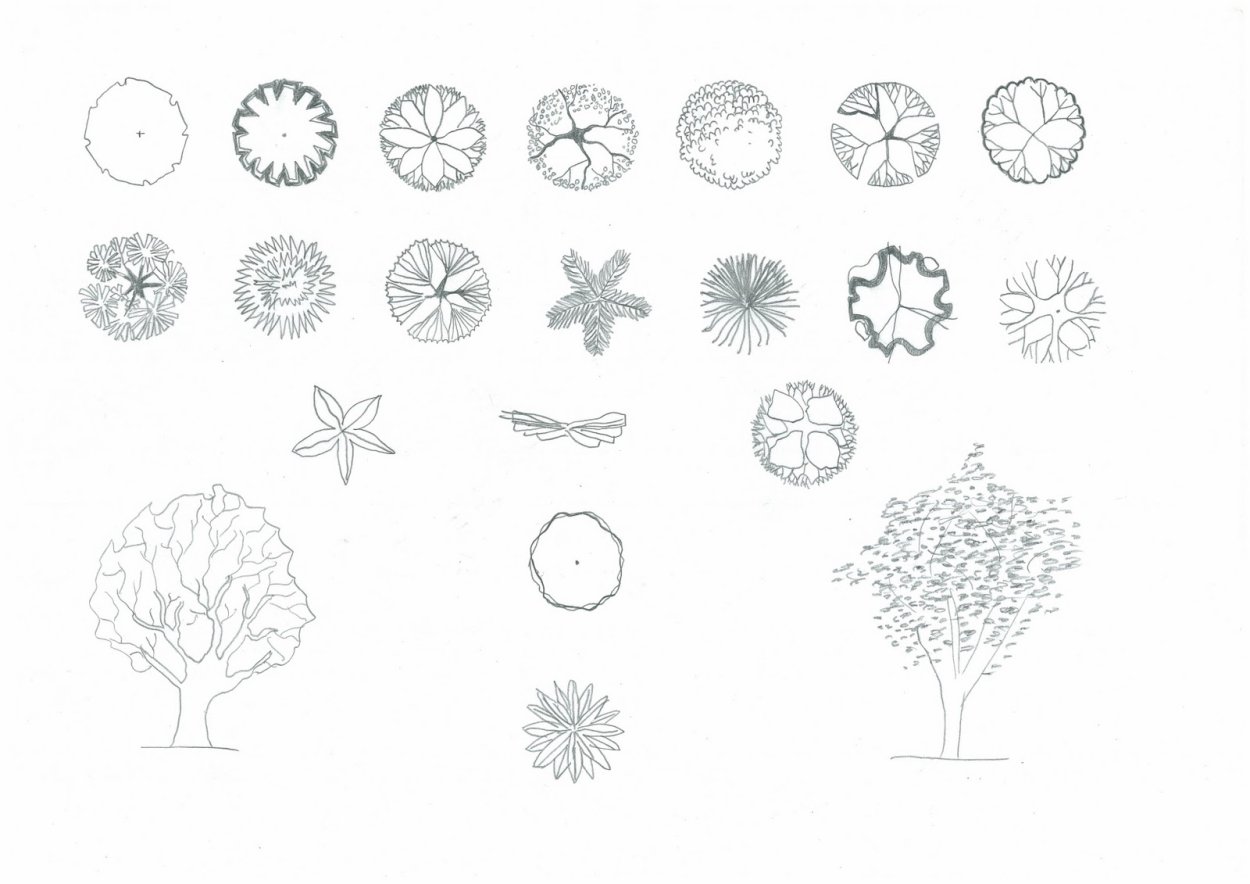 2д дерево архикад