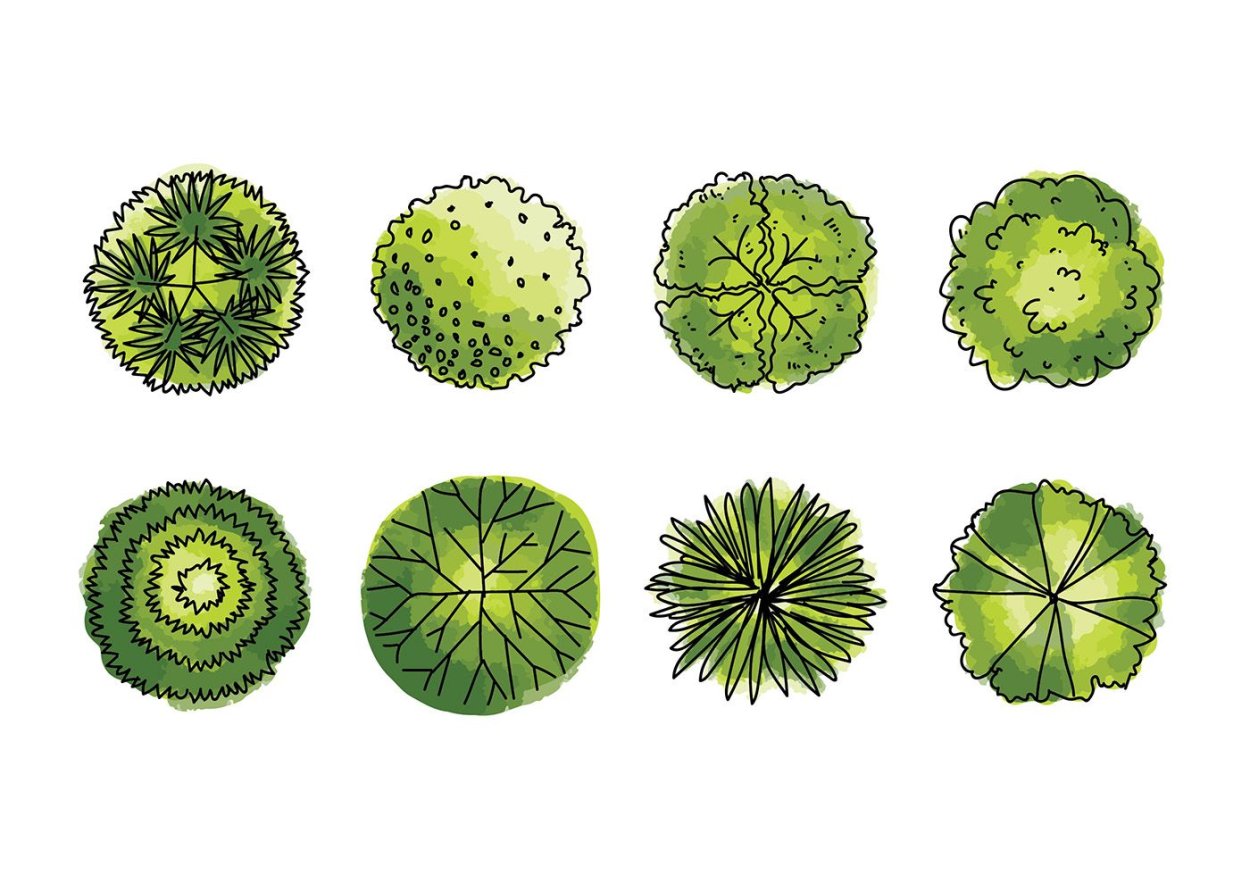 Деревья для генплана