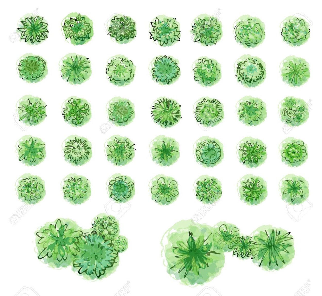 Квадратный куст вид сверху рисунок