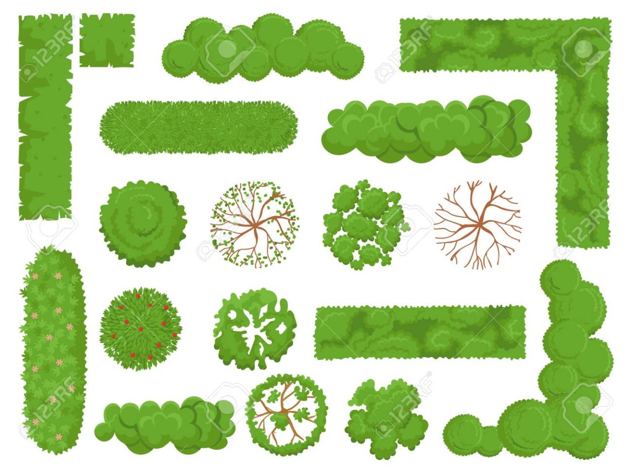 Лиственные деревья вид сверху