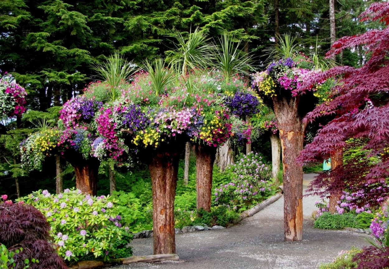 Ботанический сад 'Glacier Gardens' в Джуно