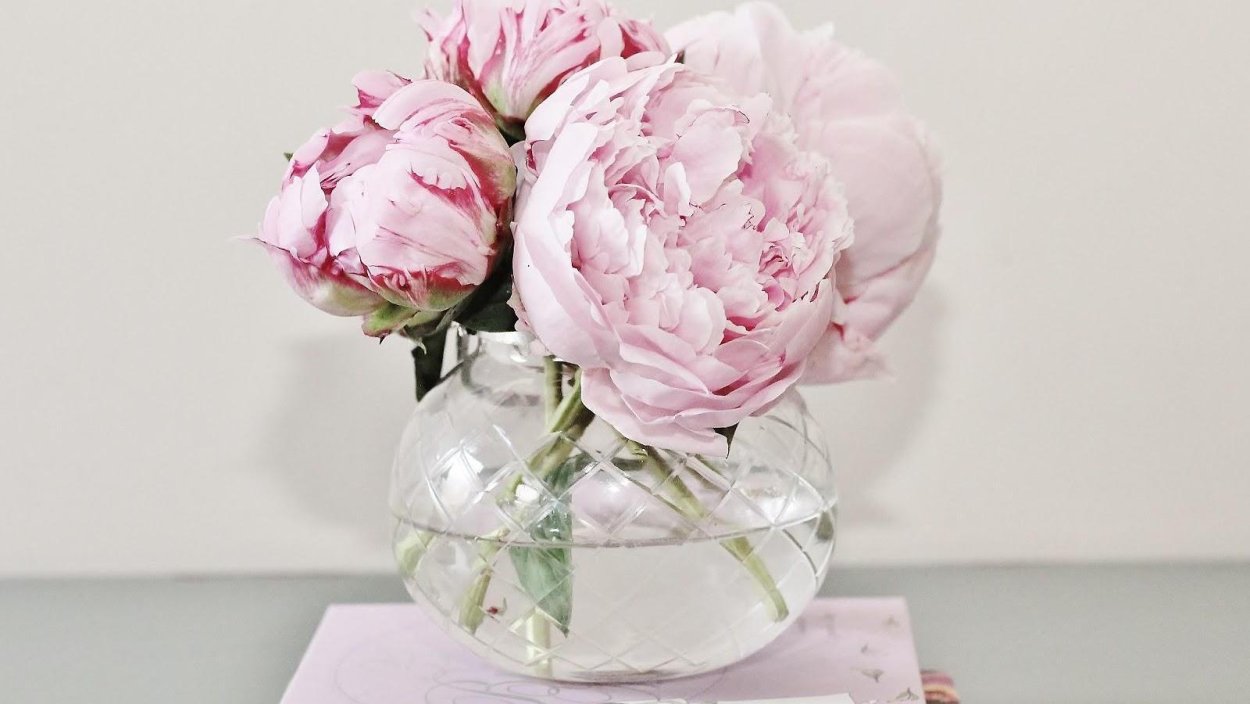 Виктория Боня селфи