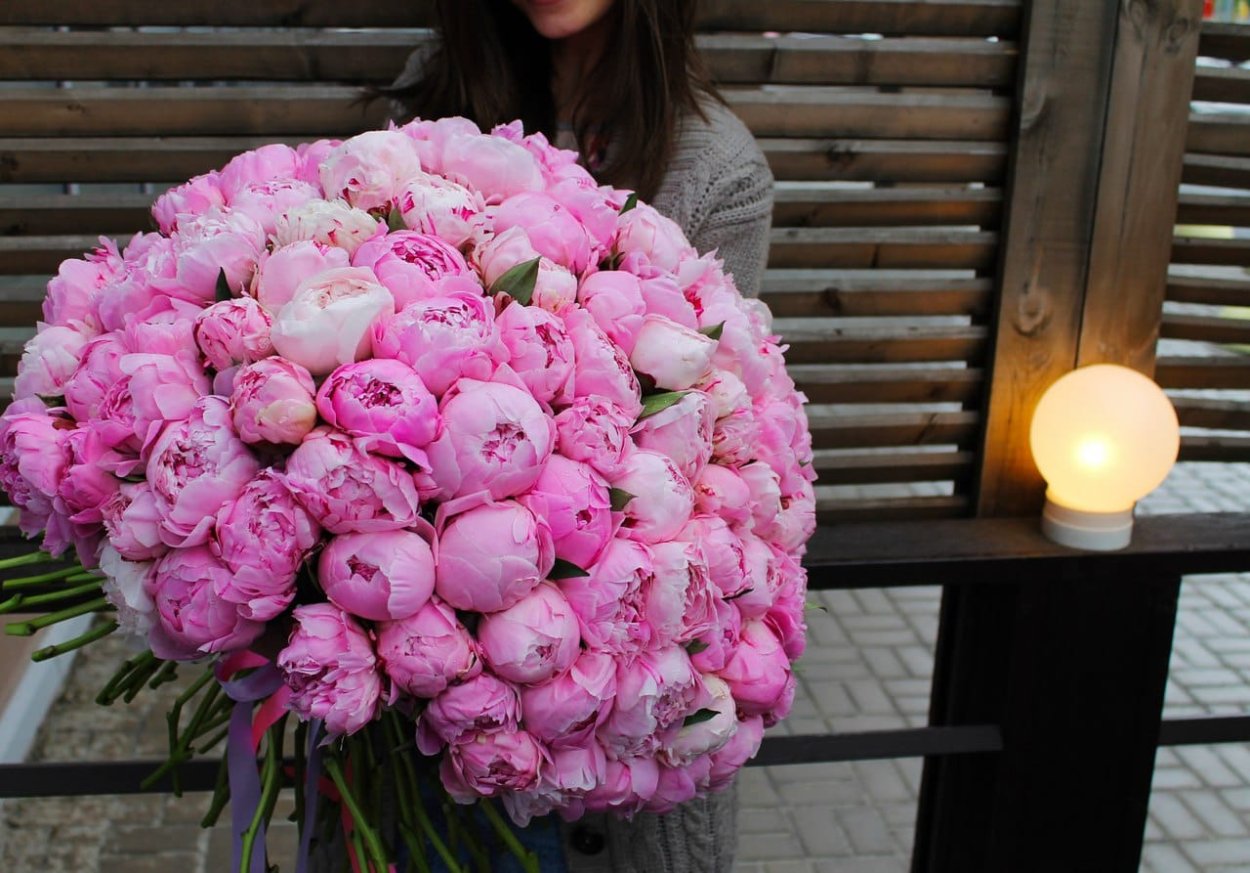 Эквадорские пионы