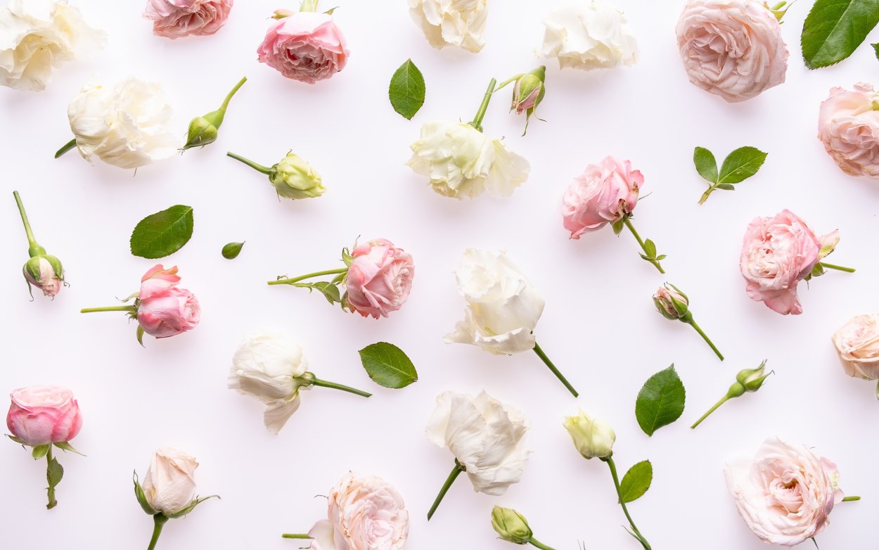 Букет пионов в машине