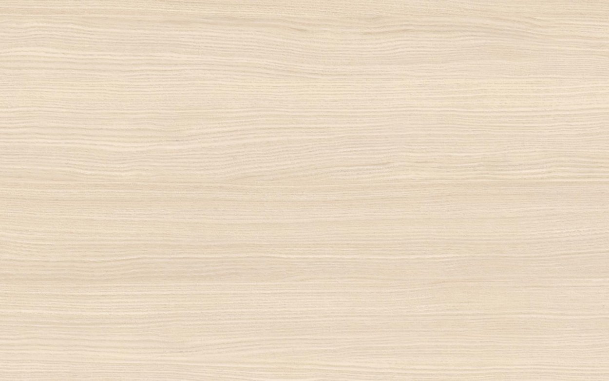 Клен сахарный шампань Egger