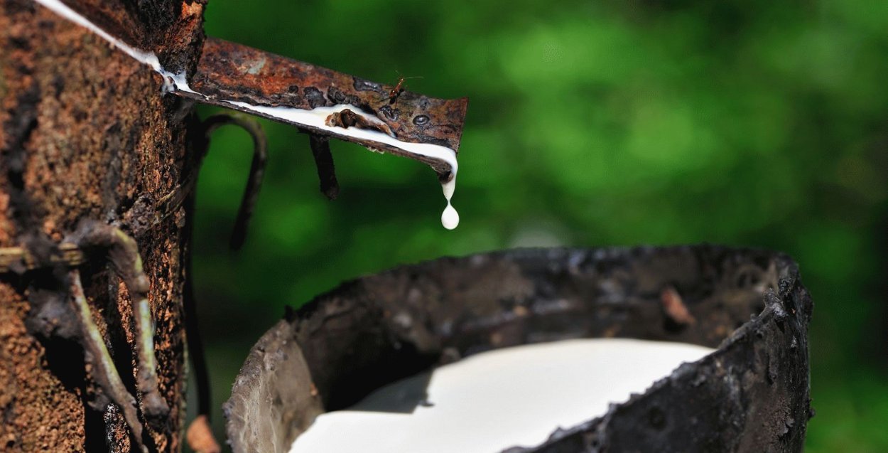 Палитра кофейных оттенков