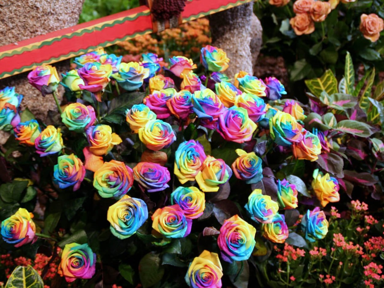 Букет "большой"