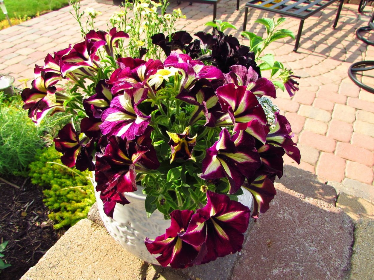 Шапка с цветком