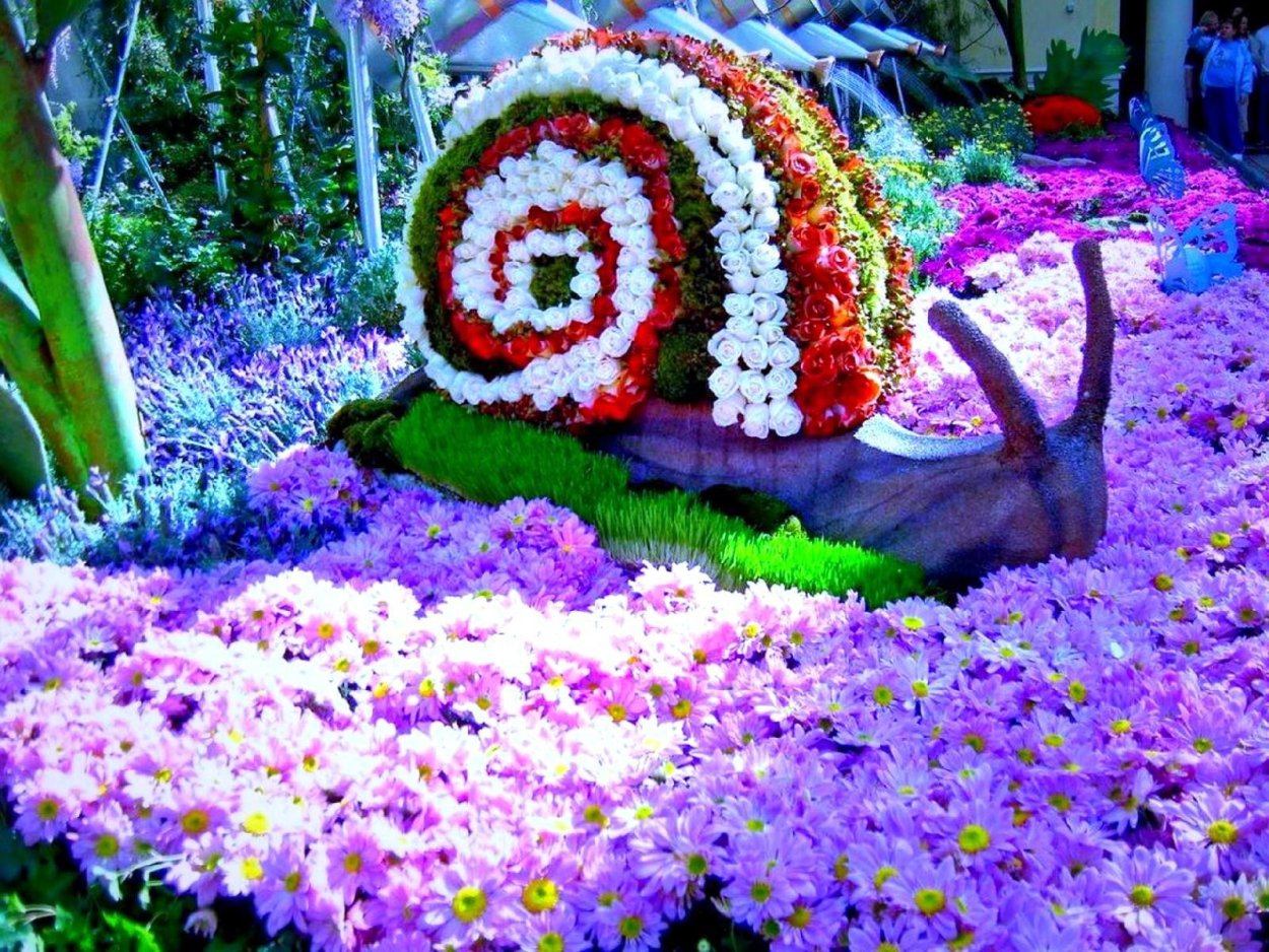 Картинки с надписями Crazy girls