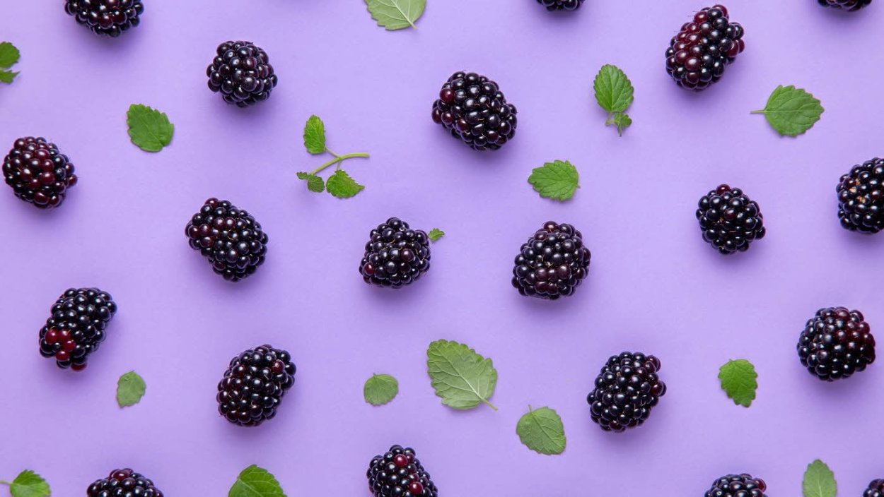 Черная ежевика