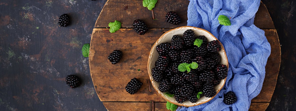 Фотофон ежевика