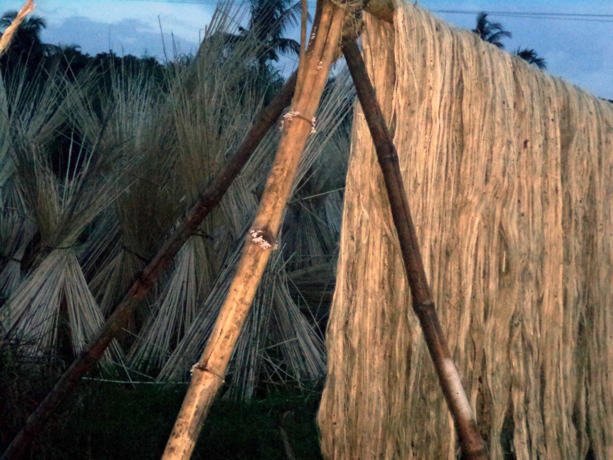 Пакистанский джут