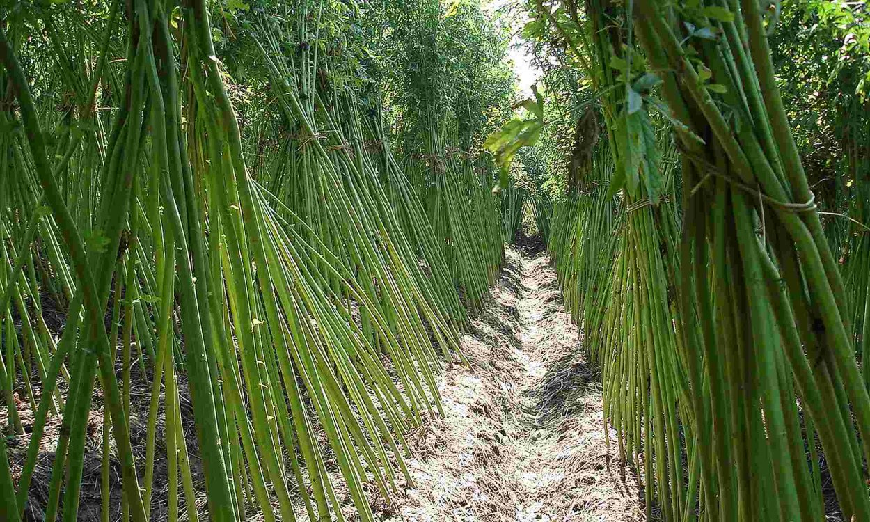 Джутовые фантазии