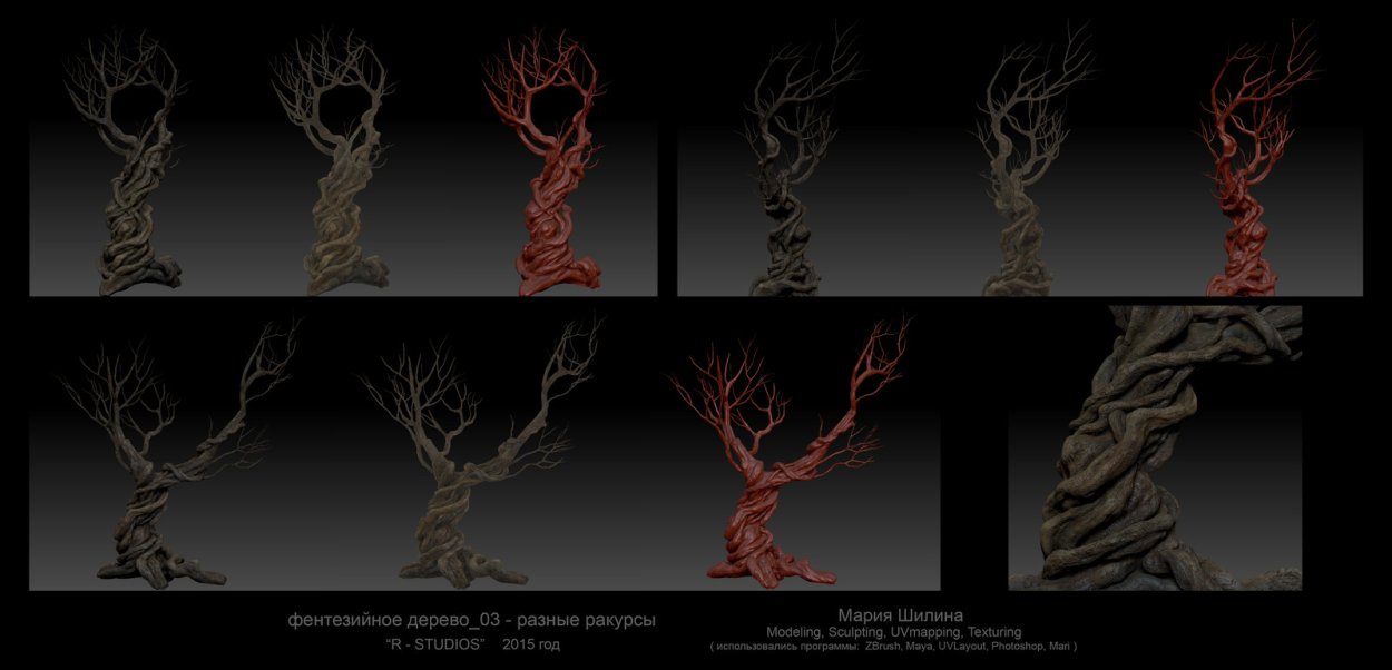 Фотосъемка дерева с разных ракурсов