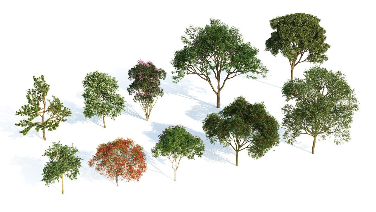 Деревья для визуализации