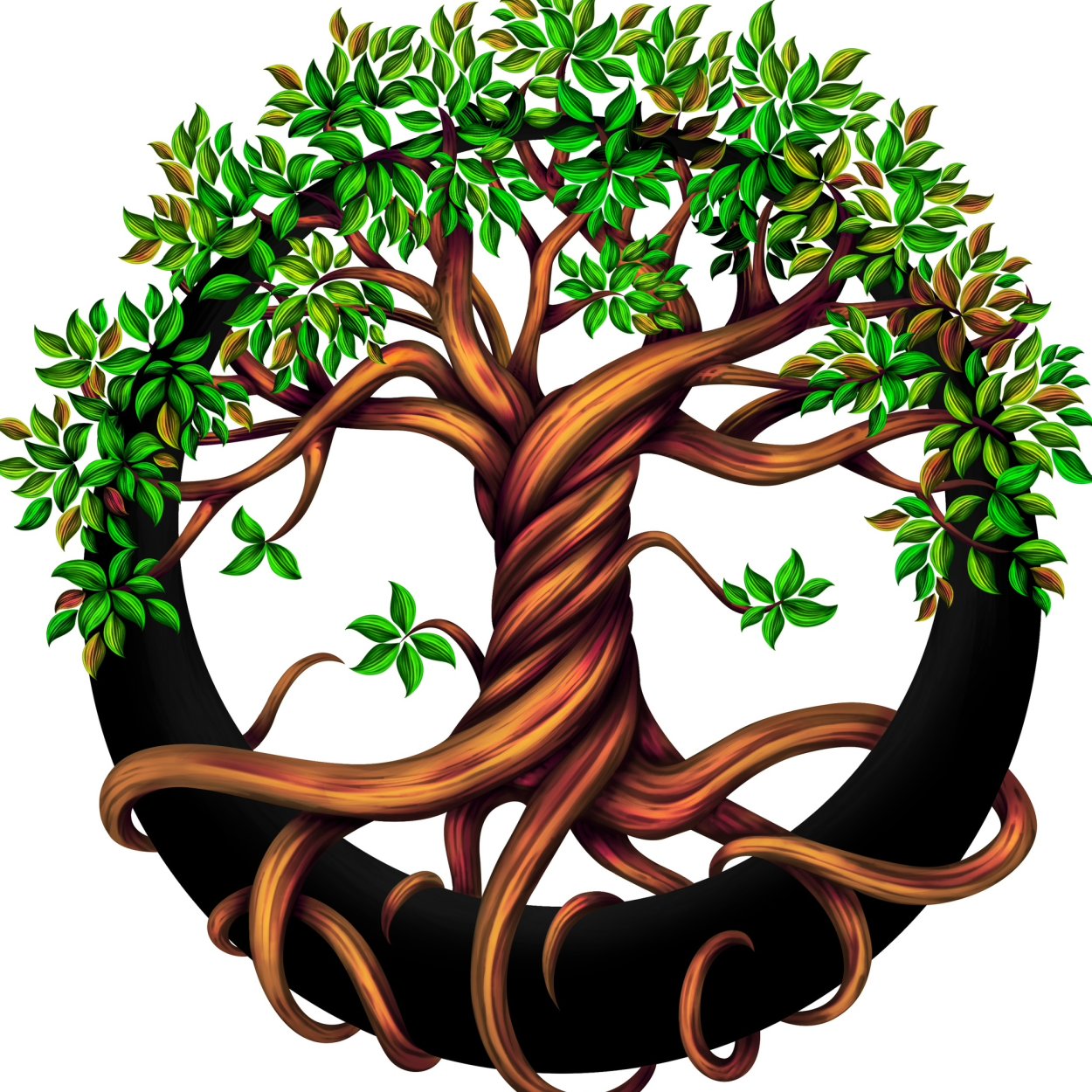 Ветка дерева