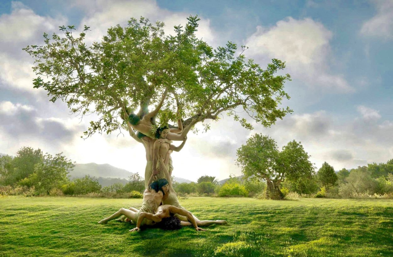 Арбоскульптура Ива